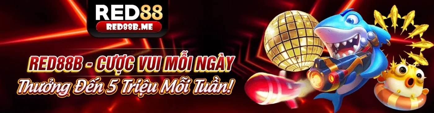 Các tính năng chính của ứng dụng ST6667 Win