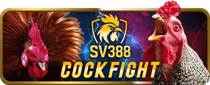 Hoàn Trả Không Giới Hạn ST6667 Win