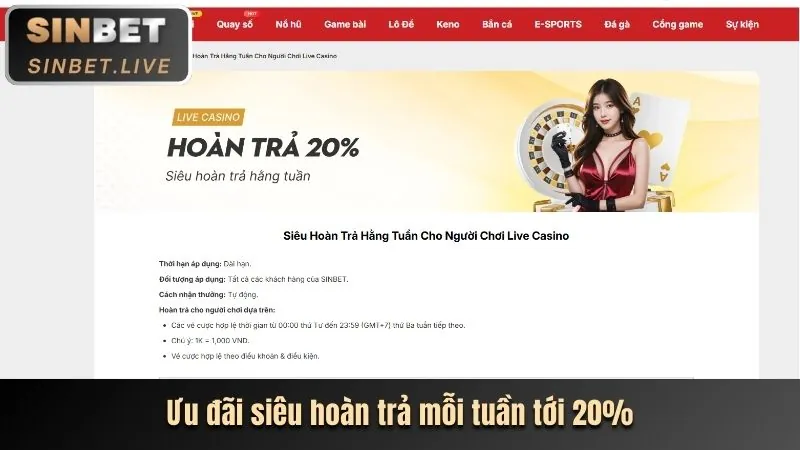 Cập nhật khuyến mãi nhanh chóng